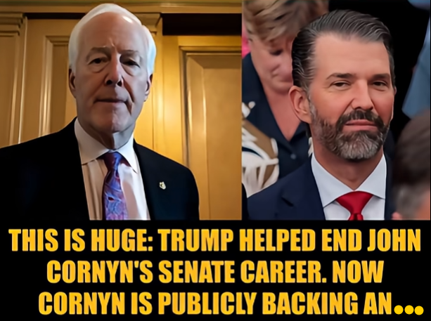 BREAKING💥: Republican Senator John Cornyn Backs Investigation Into Trump Jr.